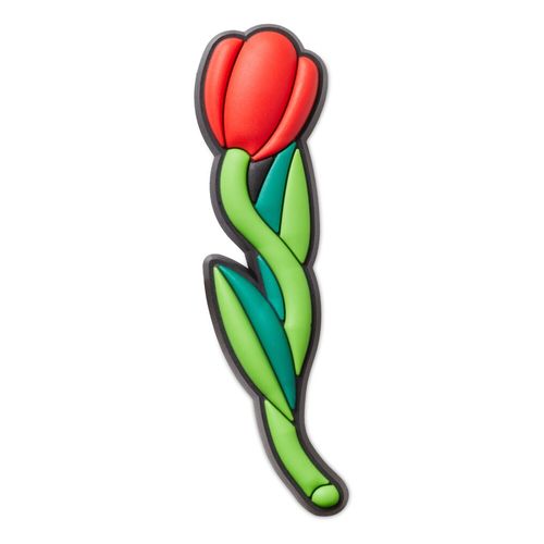 Jibbitz™ Rosa