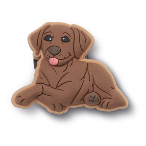 Jibbitz™ Filhote Labrador Marrom
