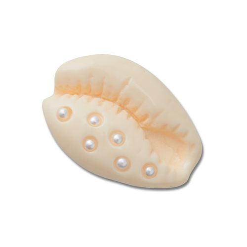 Jibbitz™ Concha Puka com Pérolas