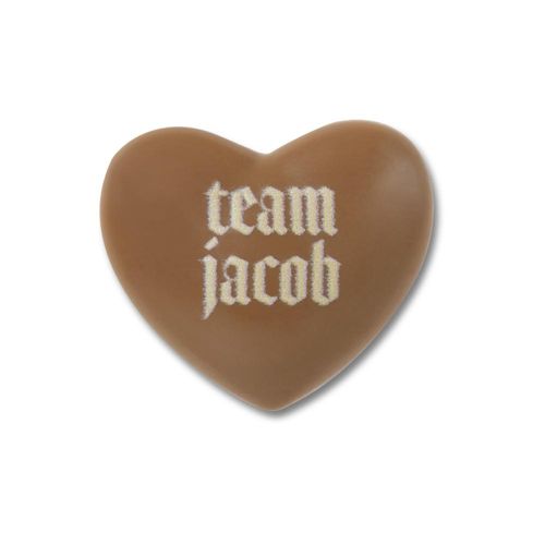 Twilight Team Jacob