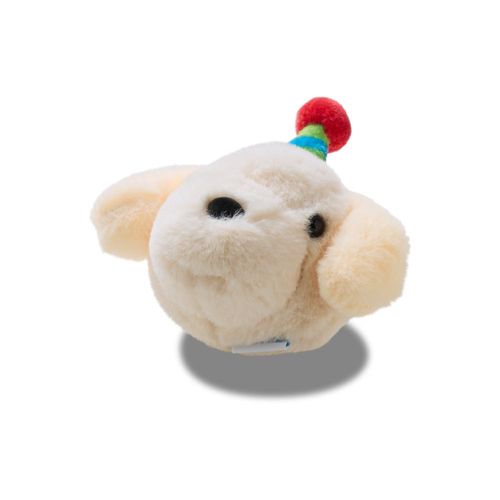 Grave Seu Próprio Som de Aniversário