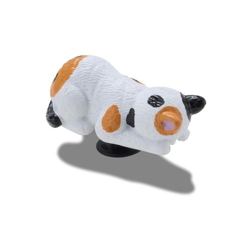 Gato Multicolorido 3D