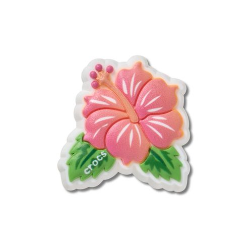 Hibisco Tropical