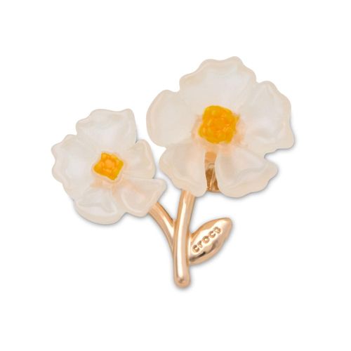 Flores Brancas e Laranja