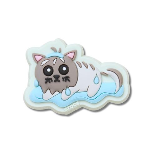Gato Molhado
