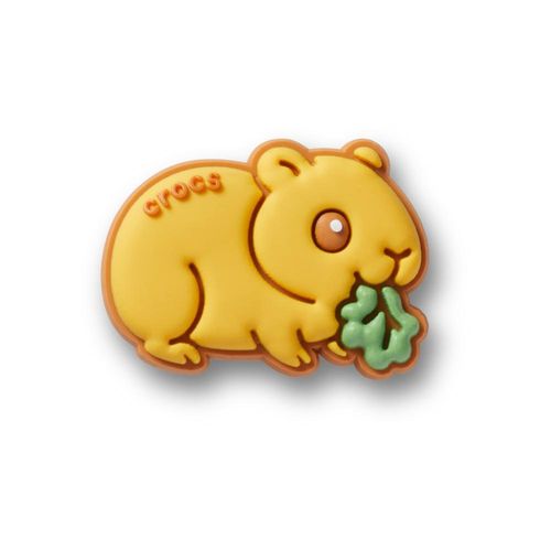 Hamster de Estimação Com Alface