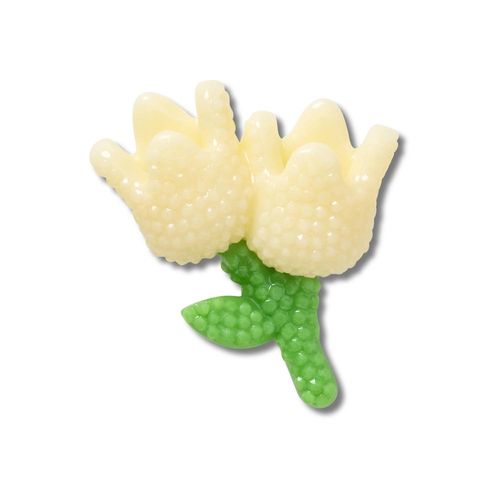 Tulipas Com Miçangas
