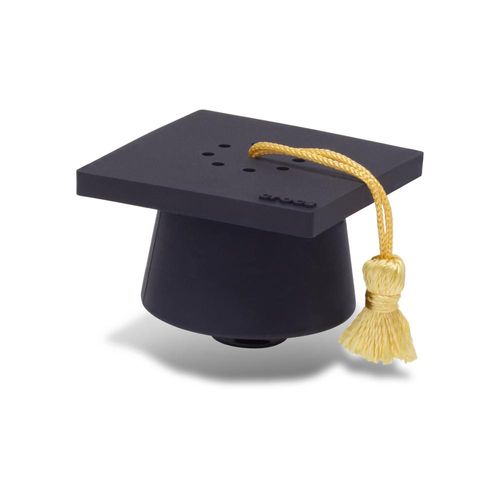 Grave Seu Próprio Som de Formatura