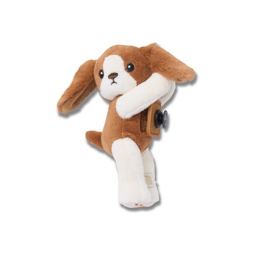 Huggitz King Charles Spaniel